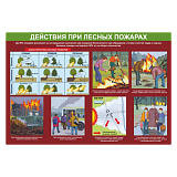 Информационный стенд "ПБ при лесных пожарах"